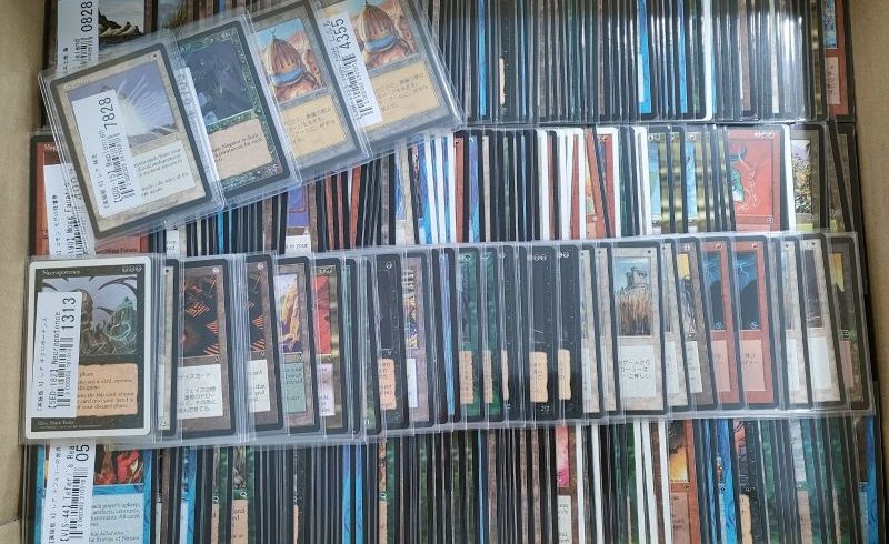 Magic: The Gathering 不実 基本に帰れ まとめ売り MTG買取実績】状態の良い1994年～1996年のカードを買取 │ トレトク