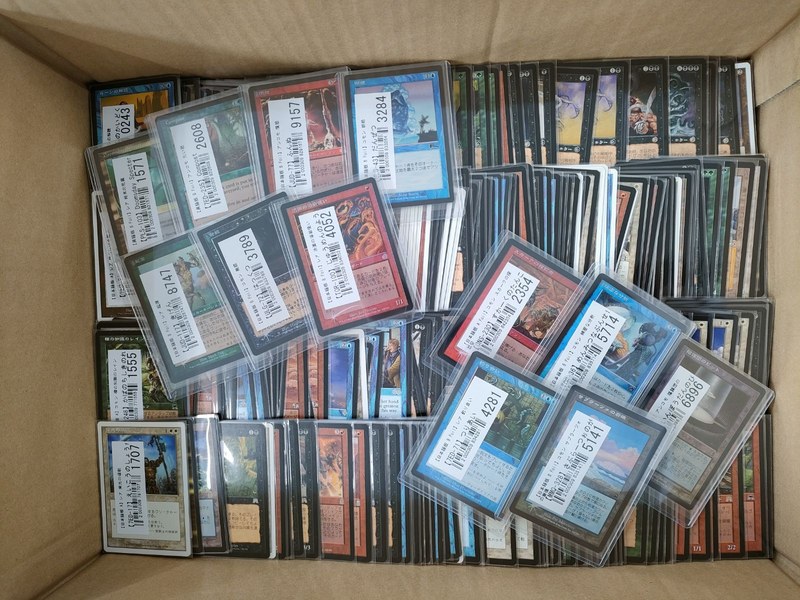 段ボール箱に並べられた買取前のMTGカード1,619点