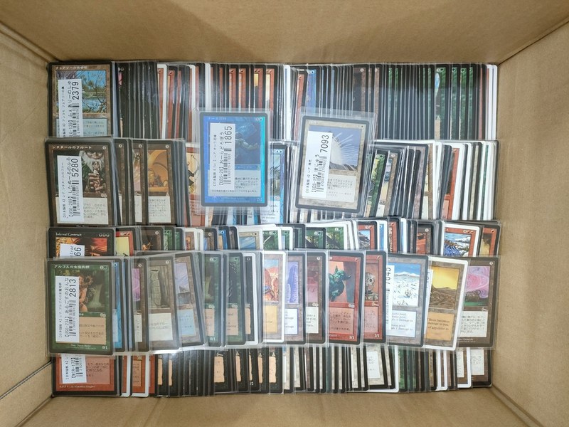 段ボール箱に並べられた買取前のMTGカード459点