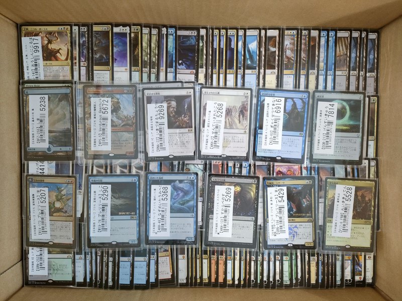 段ボール箱に並べられた買取前のMTGカード204点