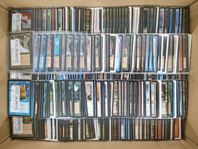 段ボール箱に並べられた買取前のMTGのカード538点