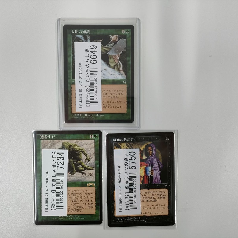 【MTG買取実績】適者生存などレガシー・統率者戦の名カードを買取