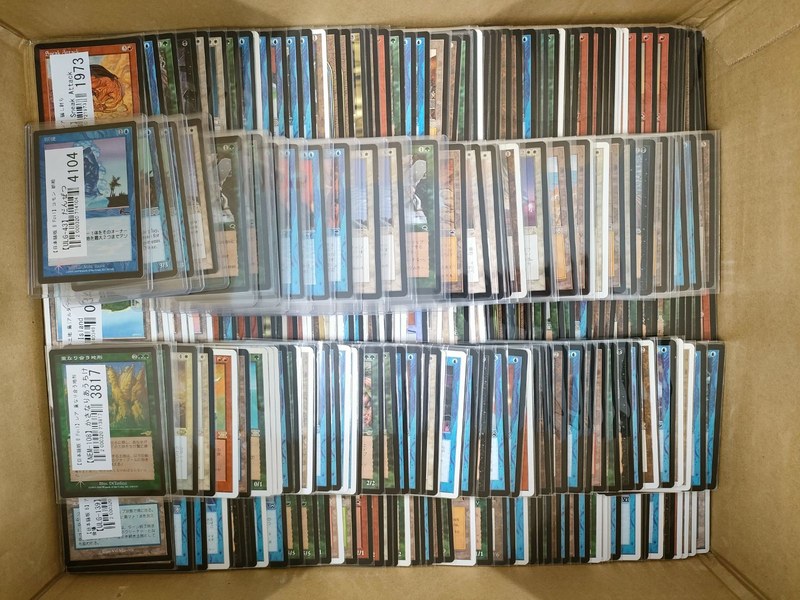 段ボール箱に並べられた買取前のMTGのカード381点